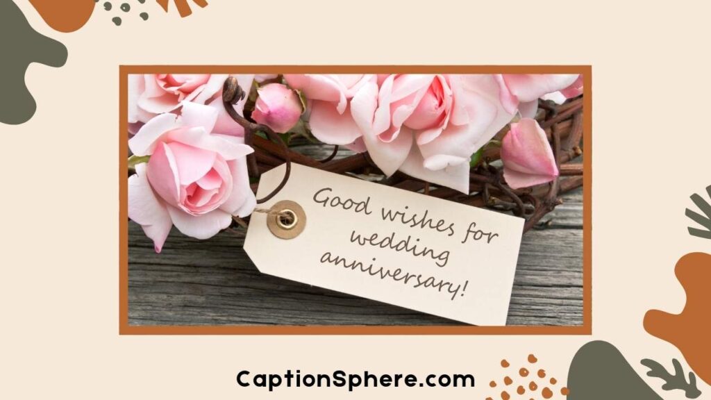 Funny Anniversary Quotes by Relationship