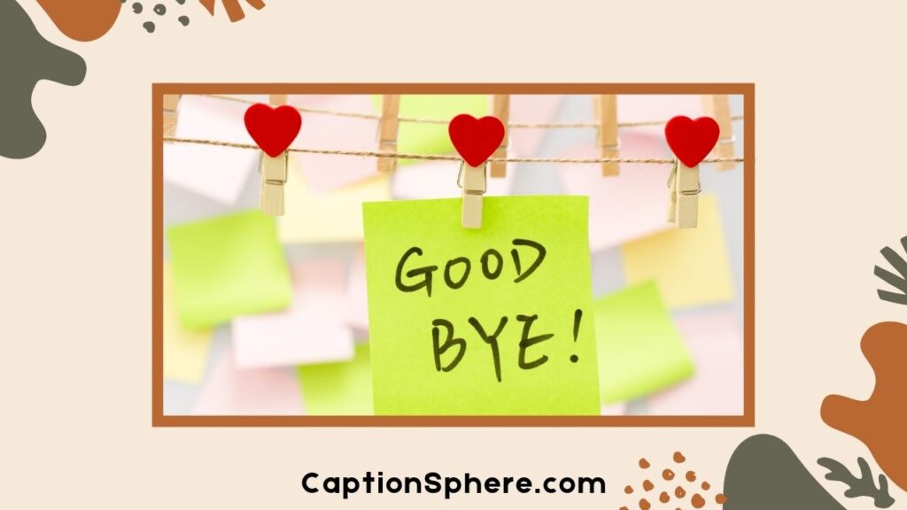 Short and Sweet Goodbye May Quotes