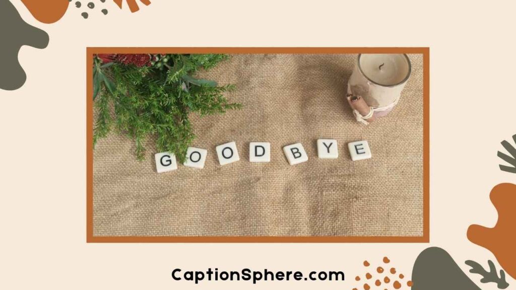 Goodbye February Quotes to Reflect and Reset