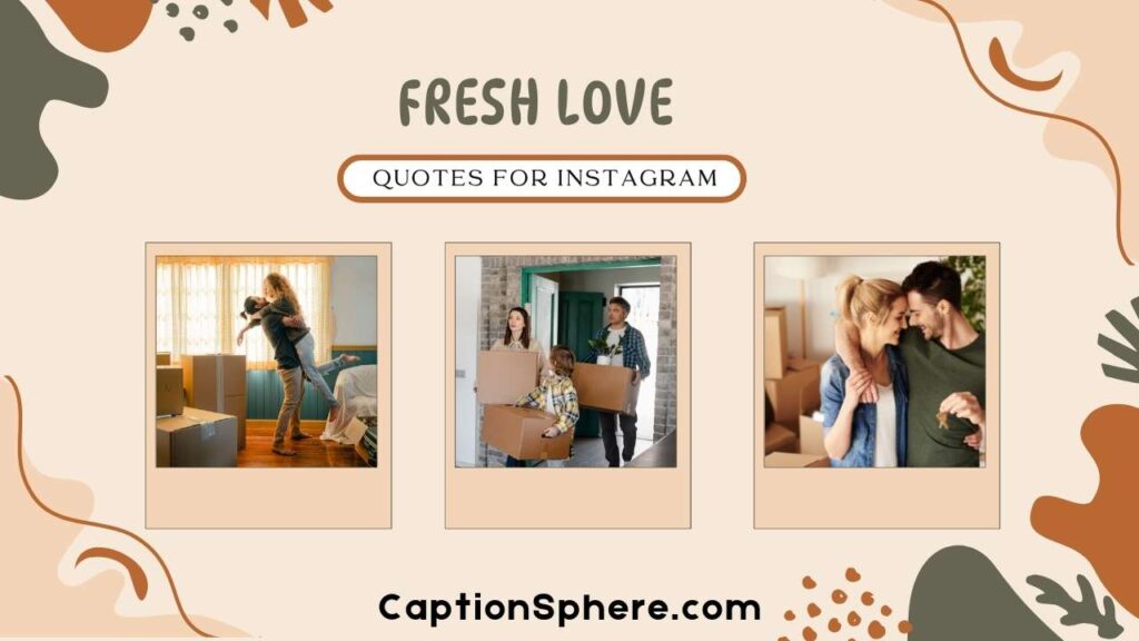 New Beginnings and Fresh Love